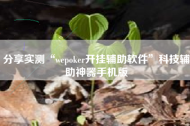 分享实测“wepoker开挂辅助软件”科技辅助神器手机版