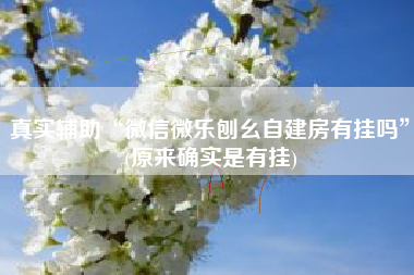 真实辅助“微信微乐刨幺自建房有挂吗”(原来确实是有挂)