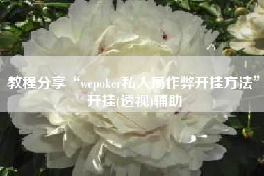 教程分享“wepoker私人局作弊开挂方法	”开挂(透视)辅助