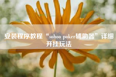 安装程序教程“sohoo poker辅助器”详细开挂玩法