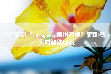 今日实测“sohoopoker德州透视	”辅助器 - 实时智能回复