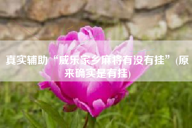 真实辅助“威乐家乡麻将有没有挂”(原来确实是有挂)