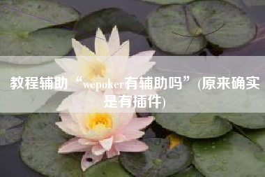 教程辅助“wepoker有辅助吗	”(原来确实是有插件)