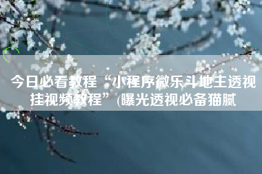 今日必看教程“小程序微乐斗地主透视挂视频教程”(曝光透视必备猫腻