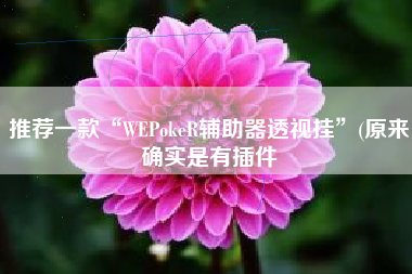 推荐一款“WEPokeR辅助器透视挂”(原来确实是有插件