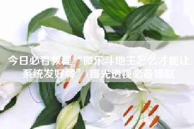 今日必看教程“微乐斗地主怎么才能让系统发好牌”(曝光透视必备猫腻