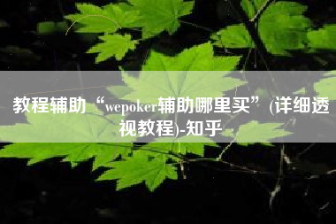教程辅助“wepoker辅助哪里买”(详细透视教程)-知乎