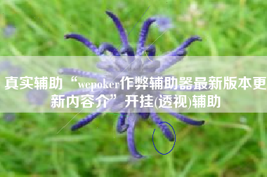 真实辅助“wepoker作弊辅助器最新版本更新内容介”开挂(透视)辅助