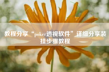 教程分享“poker透视软件”详细分享装挂步骤教程