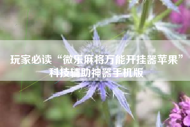 玩家必读“微乐麻将万能开挂器苹果	”科技辅助神器手机版