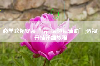 必学教你安装“wepoker透视辅助”(透视)开挂详细教程