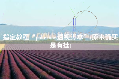 指定教程“pokernow透视脚本”(原来确实是有挂)
