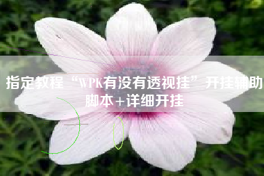 指定教程“WPK有没有透视挂”开挂辅助脚本+详细开挂