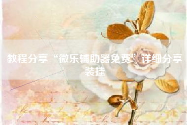 教程分享“微乐辅助器免费”详细分享装挂