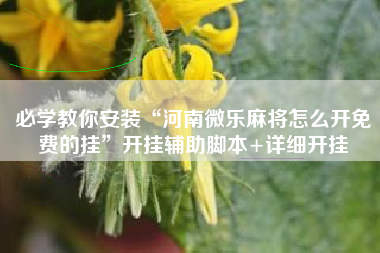 必学教你安装“河南微乐麻将怎么开免费的挂	”开挂辅助脚本+详细开挂