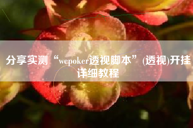分享实测“wepoker透视脚本	”(透视)开挂详细教程