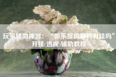 玩家辅助神器：“微乐捉鸡麻将有挂吗	”开挂(透视)辅助教程