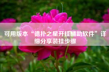 可用版本“德扑之星开挂辅助软件”详细分享装挂步骤