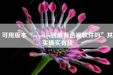 可用版本“wepoker到底有透视软件吗”其实确实有挂