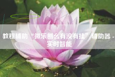 教程辅助“微乐刨幺有没有挂”辅助器 - 实时智能