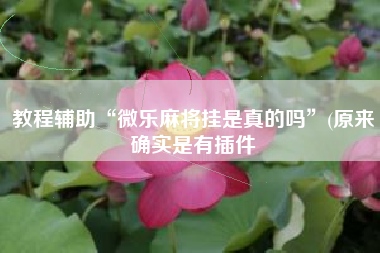 教程辅助“微乐麻将挂是真的吗”(原来确实是有插件