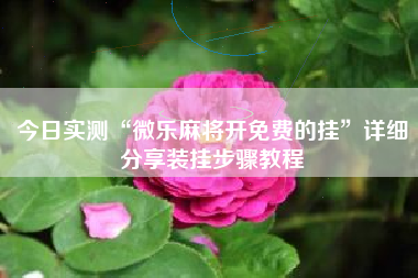 今日实测“微乐麻将开免费的挂”详细分享装挂步骤教程