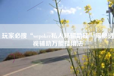 玩家必搜“wepoker私人局辅助挂	”揭秘透视辅助万能挂用法