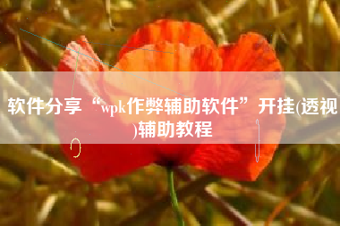 软件分享“wpk作弊辅助软件	”开挂(透视)辅助教程