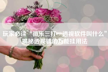 玩家必读“微乐三打一透视软件叫什么”揭秘透视辅助万能挂用法