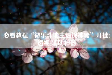 必看教程“微乐斗地主透视神器”开挂(透视)辅助神器