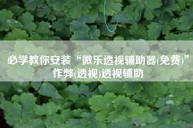 必学教你安装“微乐透视辅助器(免费)	”作弊(透视)透视辅助