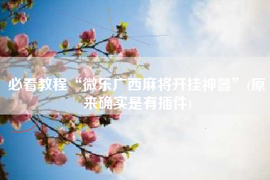 必看教程“微乐广西麻将开挂神器”(原来确实是有插件)