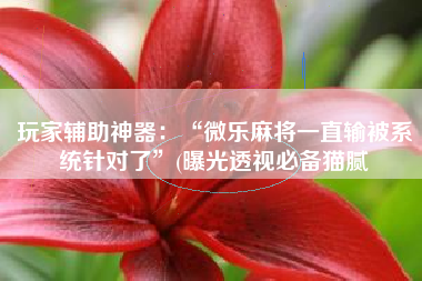 玩家辅助神器：“微乐麻将一直输被系统针对了	”(曝光透视必备猫腻