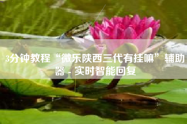 3分钟教程“微乐陕西三代有挂嘛”辅助器 - 实时智能回复