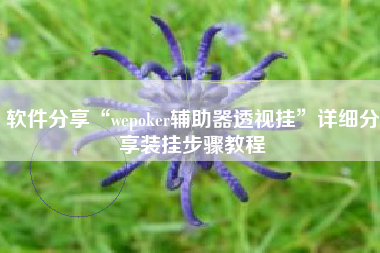 软件分享“wepoker辅助器透视挂	”详细分享装挂步骤教程
