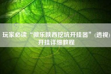 玩家必读“微乐陕西挖坑开挂器”(透视)开挂详细教程