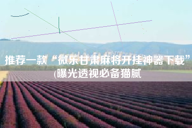 推荐一款“微乐甘肃麻将开挂神器下载”(曝光透视必备猫腻