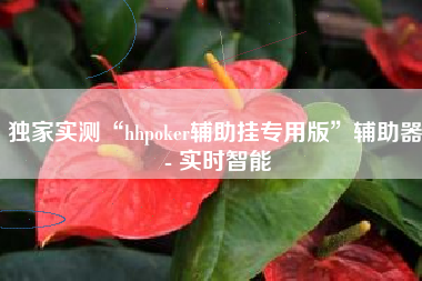 独家实测“hhpoker辅助挂专用版”辅助器 - 实时智能