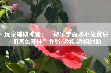 玩家辅助神器：“微乐宁夏划水免费房间怎么开挂	”作弊(透视)透视辅助