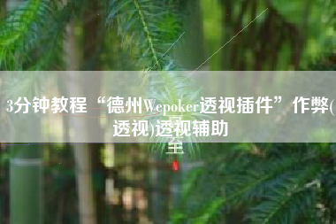 3分钟教程“德州Wepoker透视插件”作弊(透视)透视辅助