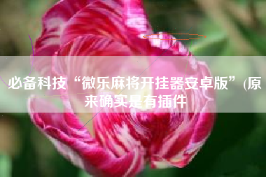 必备科技“微乐麻将开挂器安卓版	”(原来确实是有插件