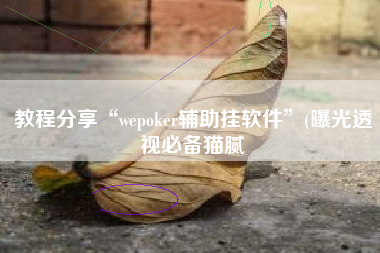 教程分享“wepoker辅助挂软件”(曝光透视必备猫腻