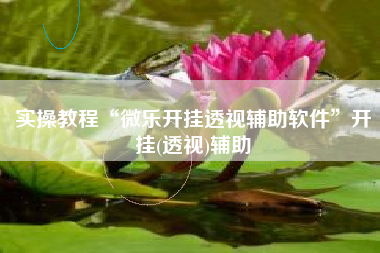 实操教程“微乐开挂透视辅助软件	”开挂(透视)辅助