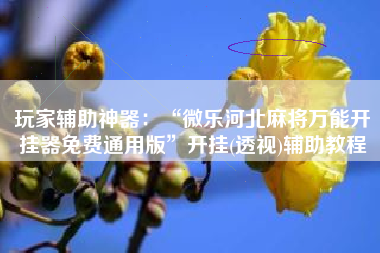 玩家辅助神器：“微乐河北麻将万能开挂器免费通用版”开挂(透视)辅助教程