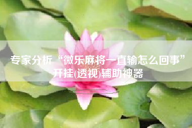 专家分析“微乐麻将一直输怎么回事”开挂(透视)辅助神器