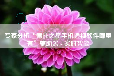 专家分析“德扑之星手机透视软件哪里有”辅助器 - 实时智能