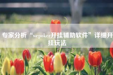 专家分析“wepoker开挂辅助软件	”详细开挂玩法