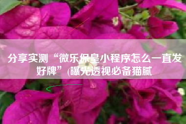 分享实测“微乐保皇小程序怎么一直发好牌	”(曝光透视必备猫腻