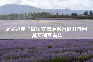 玩家必搜“微乐安徽麻将万能开挂器	”其实确实有挂