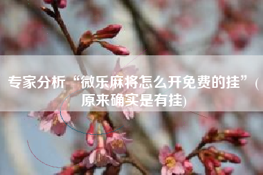 专家分析“微乐麻将怎么开免费的挂”(原来确实是有挂)